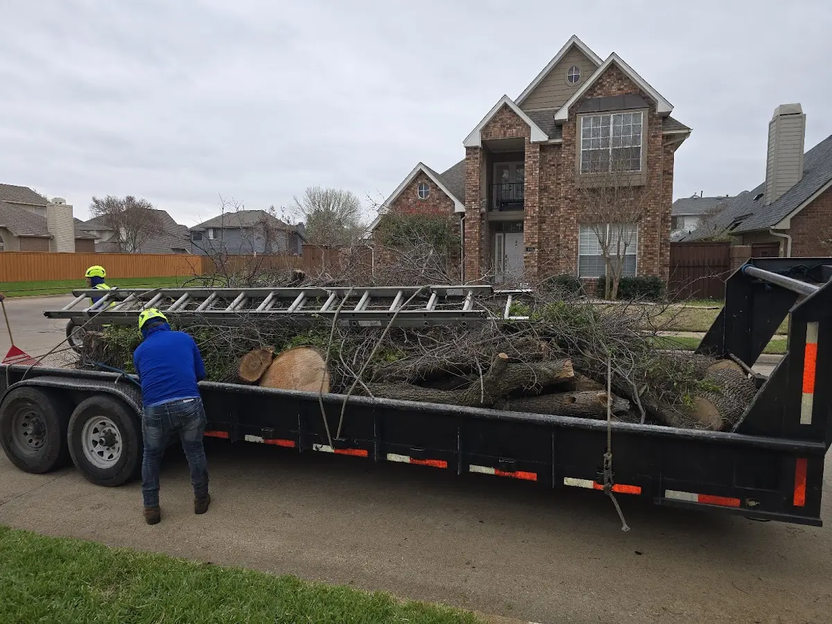 Expert Tree Fertilization with proper safety equipment in Tabor
